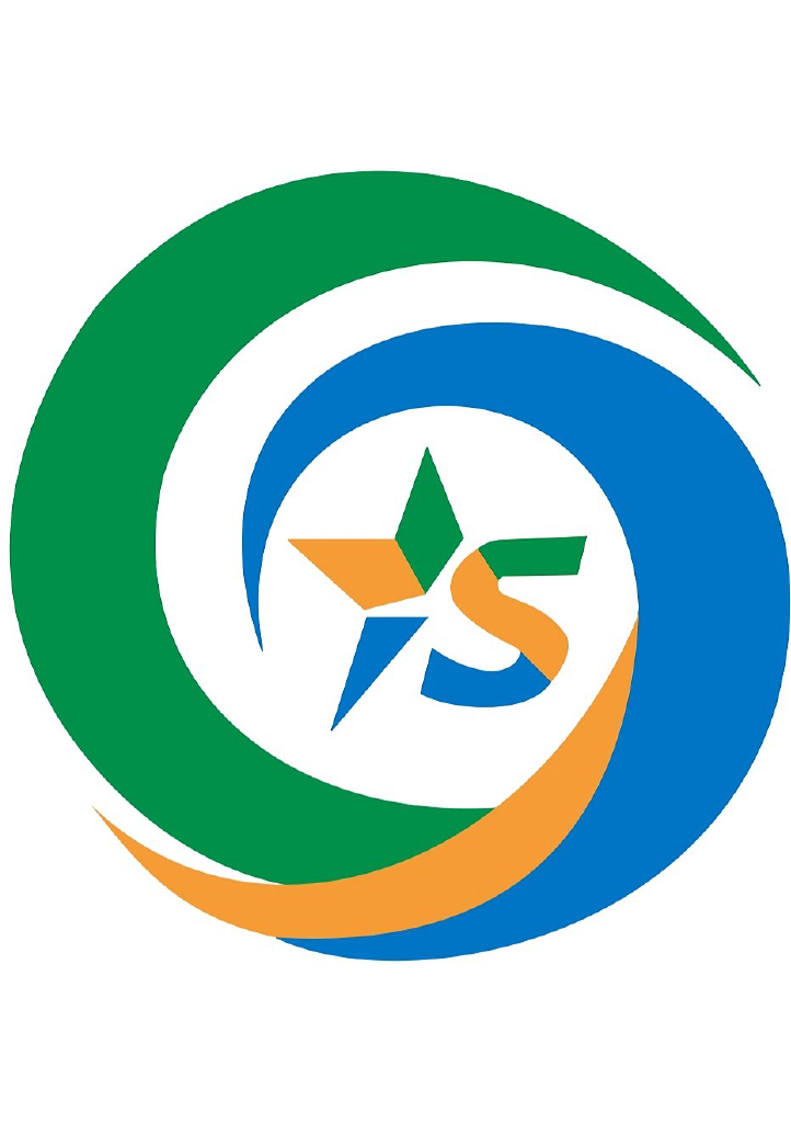 Imaginative Solutions Logo